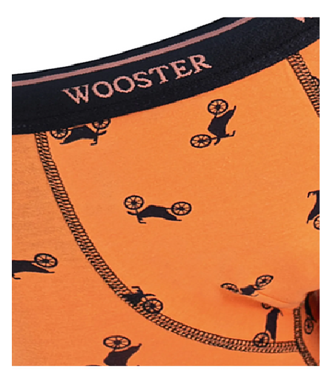 Wooster 3'lü Erkek Çocuk Pamuklu Boxer